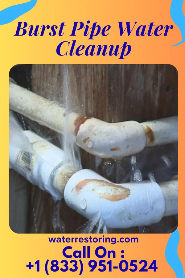 Burst Pipe Water Cleanup in Le Grand, IA